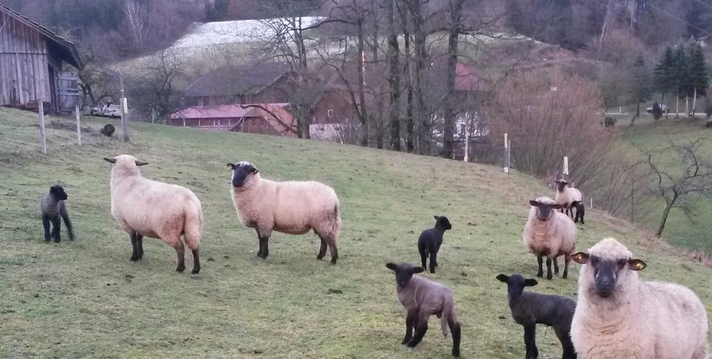 Landgasthof Adler Pelzmuehle Biederbach Luaran gambar